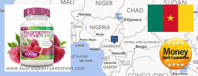 Où Acheter Raspberry Ketone en ligne Cameroon